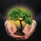 sustentabilidade1