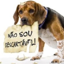 importado04